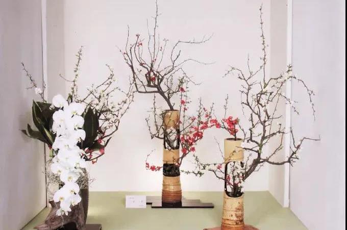 花道团建 |  采撷自然之美  品味插花艺术